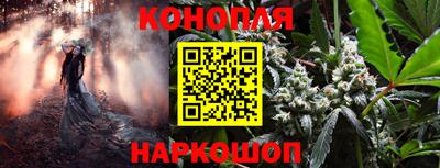 шишки Нарткала
